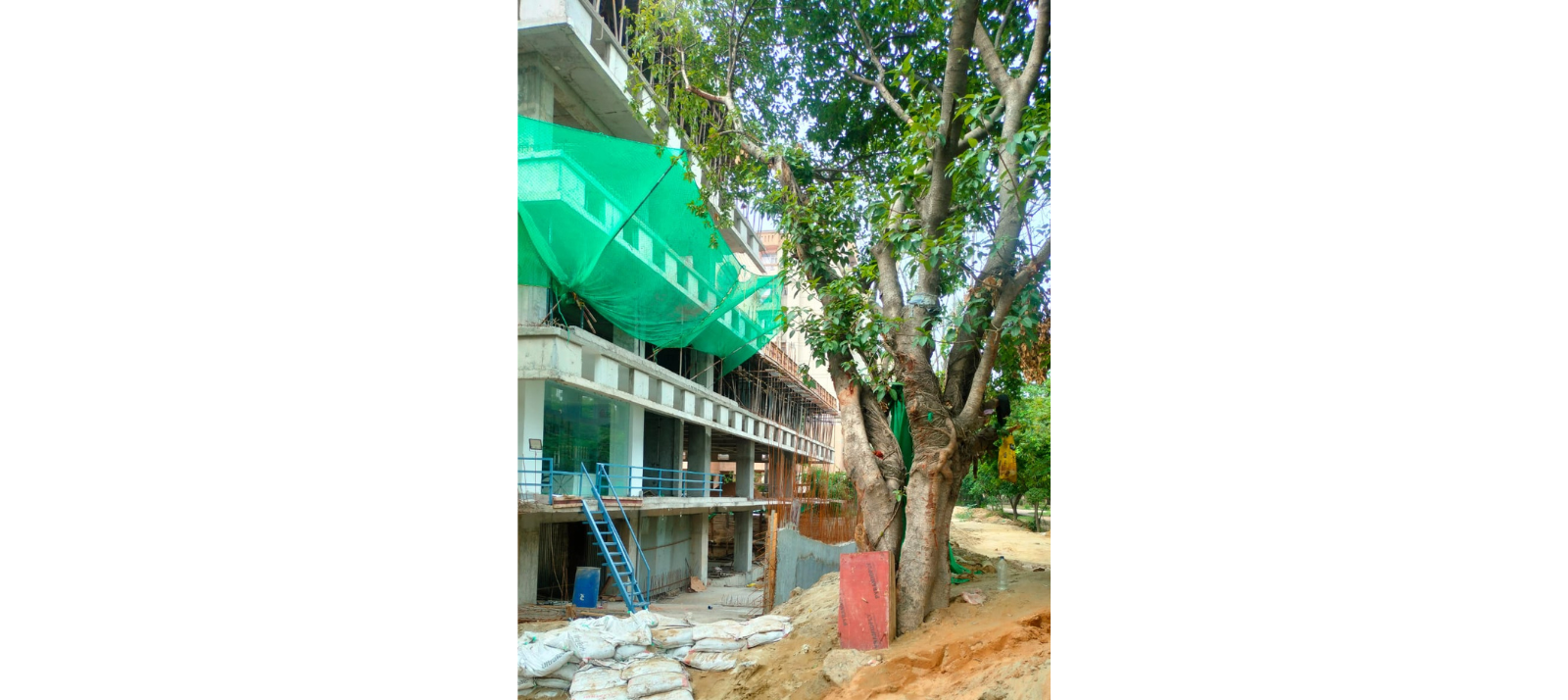 Untitled design (7)
